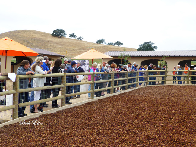 SANTA YNEZ VALLEY FARM TOUR