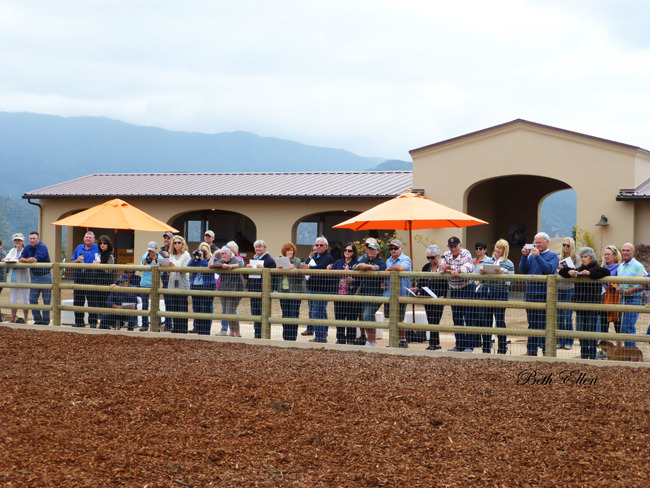 SANTA YNEZ VALLEY FARM TOUR