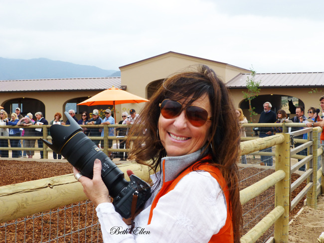 SANTA YNEZ VALLEY FARM TOUR