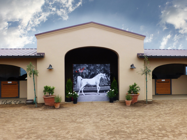 SANTA YNEZ VALLEY FARM TOUR