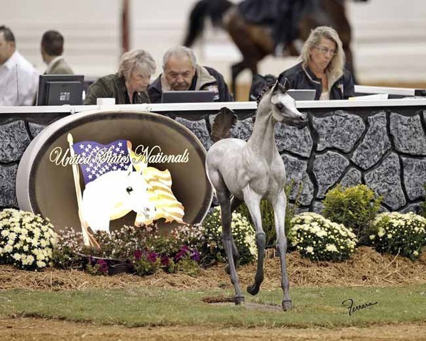 2011 US Nationals News & Reviews, Thursday