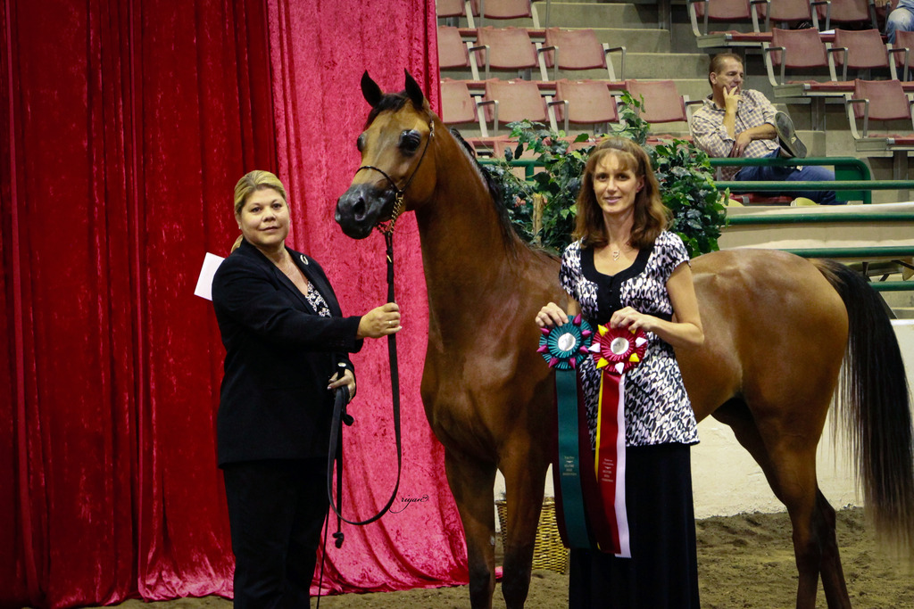 2014 Show