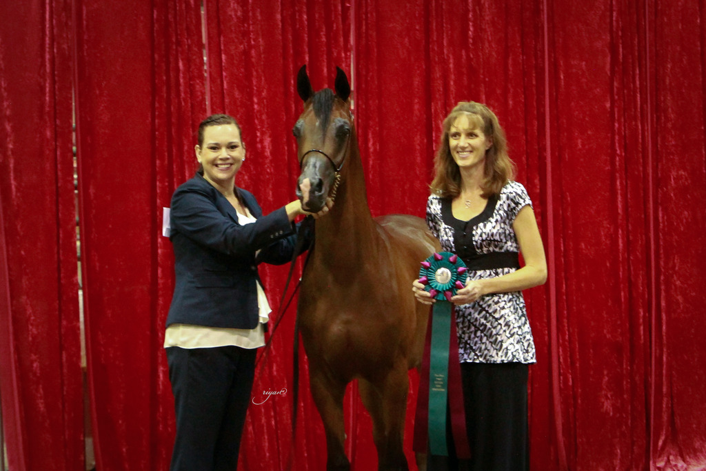 2014 Show