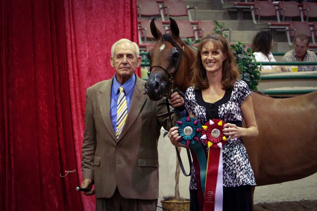 2014 Show