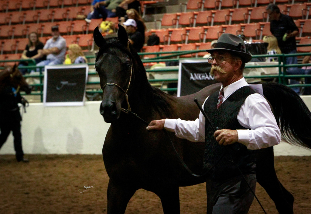 2014 Show