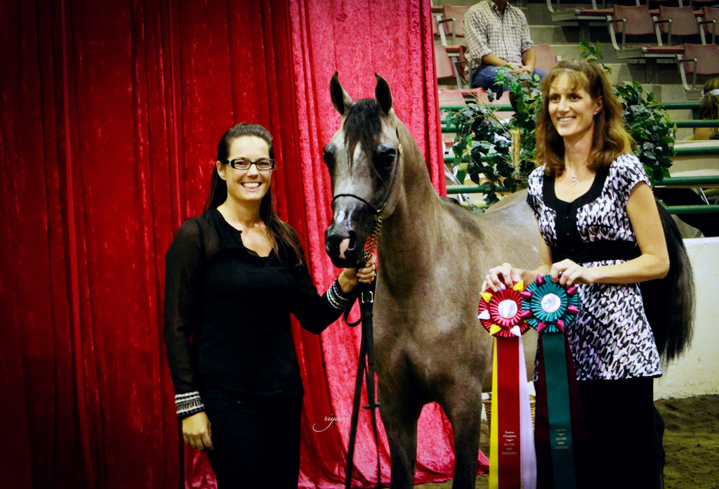 2014 Show