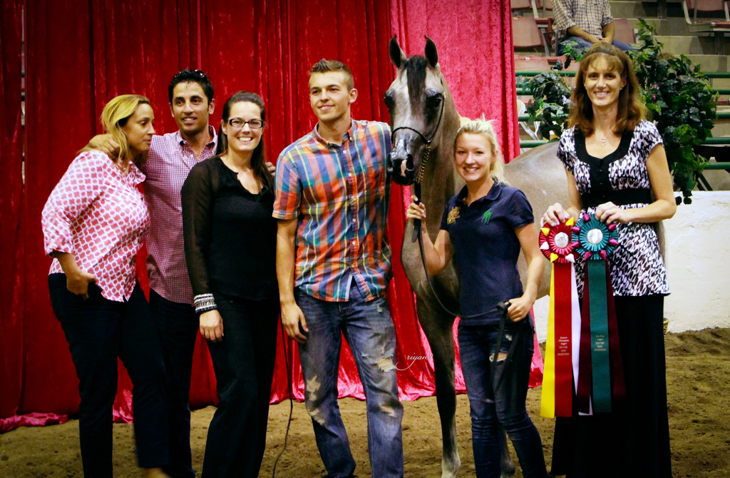 2014 Show