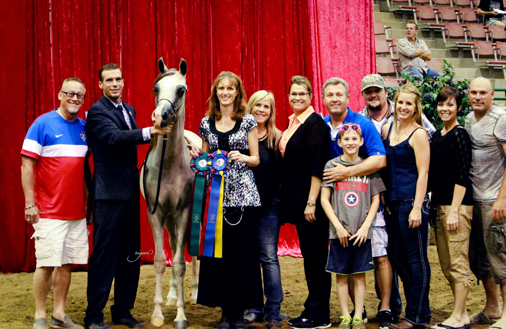 2014 Show