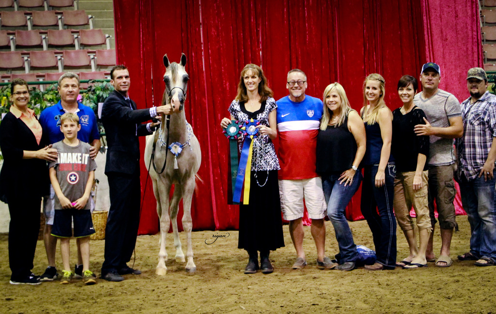2014 Show