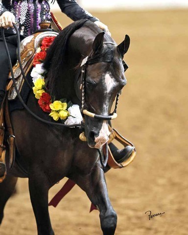 2011 US Nationals News & Reviews, Thursday