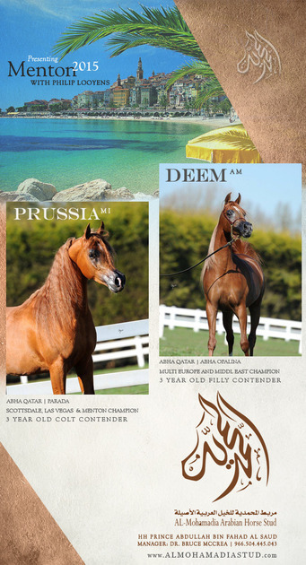 MENTON ARABIAN HORSE CHAMPIONSHIP NEWS