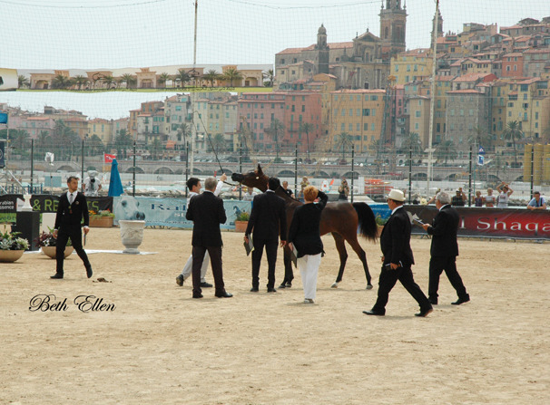 2015 MENTON ARABIAN HORSE CHAMPIONSHIPS