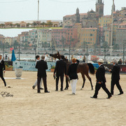 2015 MENTON ARABIAN HORSE CHAMPIONSHIPS