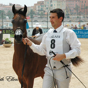 2015 MENTON ARABIAN HORSE CHAMPIONSHIPS