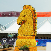 2015 MENTON ARABIAN HORSE CHAMPIONSHIPS