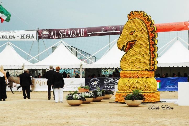 2015 MENTON ARABIAN HORSE CHAMPIONSHIPS