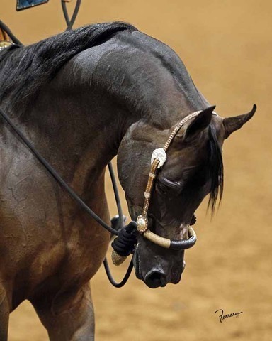 2011 US Nationals News & Reviews, Thursday