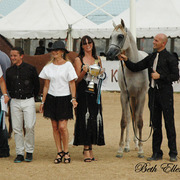 2015 MENTON ARABIAN HORSE CHAMPIONSHIPS