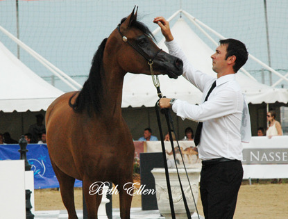 2015 MENTON ARABIAN HORSE CHAMPIONSHIPS