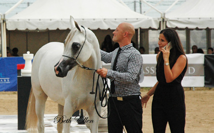 2015 MENTON ARABIAN HORSE CHAMPIONSHIPS