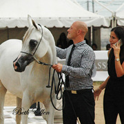 2015 MENTON ARABIAN HORSE CHAMPIONSHIPS