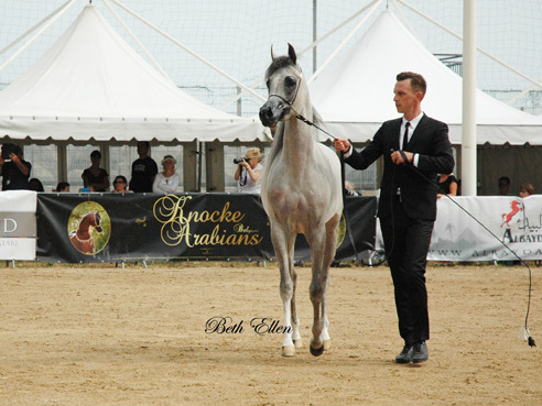 2015 MENTON ARABIAN HORSE CHAMPIONSHIPS