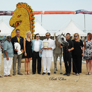 2015 MENTON ARABIAN HORSE CHAMPIONSHIPS