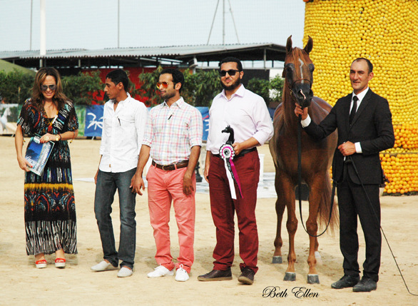 2015 MENTON ARABIAN HORSE CHAMPIONSHIPS