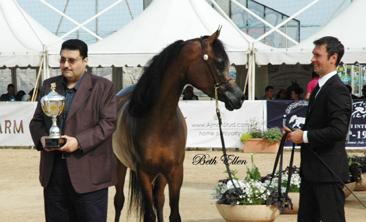 2015 MENTON ARABIAN HORSE CHAMPIONSHIPS