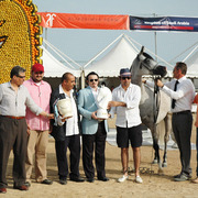 2015 MENTON ARABIAN HORSE CHAMPIONSHIPS