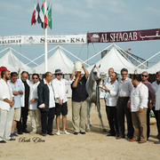 2015 MENTON ARABIAN HORSE CHAMPIONSHIPS