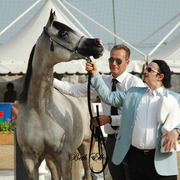 2015 MENTON ARABIAN HORSE CHAMPIONSHIPS