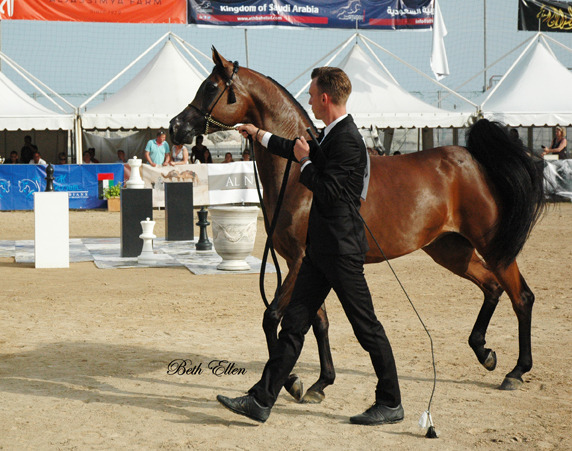 2015 MENTON ARABIAN HORSE CHAMPIONSHIPS