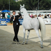 2015 MENTON ARABIAN HORSE CHAMPIONSHIPS