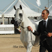 2015 MENTON ARABIAN HORSE CHAMPIONSHIPS