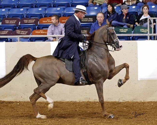 2011 US Nationals News & Reviews, Thursday