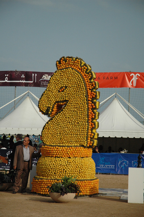 2015 MENTON ARABIAN HORSE CHAMPIONSHIPS