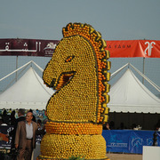 2015 MENTON ARABIAN HORSE CHAMPIONSHIPS