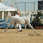 2015 MENTON ARABIAN HORSE CHAMPIONSHIPS