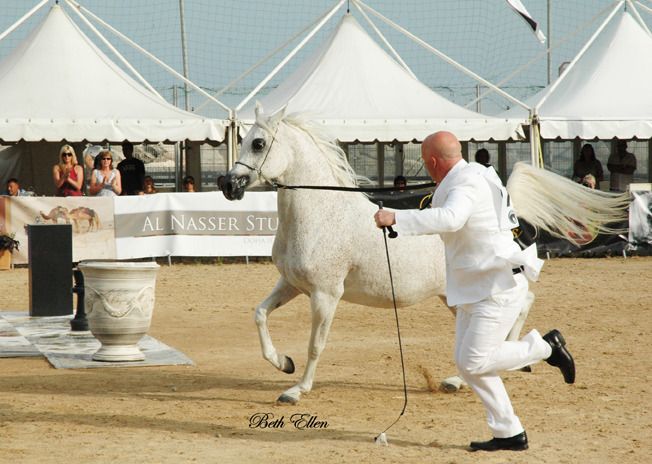 2015 MENTON ARABIAN HORSE CHAMPIONSHIPS