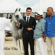 2015 MENTON ARABIAN HORSE CHAMPIONSHIPS