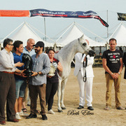 2015 MENTON ARABIAN HORSE CHAMPIONSHIPS