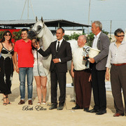 2015 MENTON ARABIAN HORSE CHAMPIONSHIPS