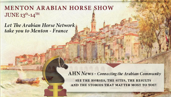 MENTON ARABIAN HORSE CHAMPIONSHIP NEWS
