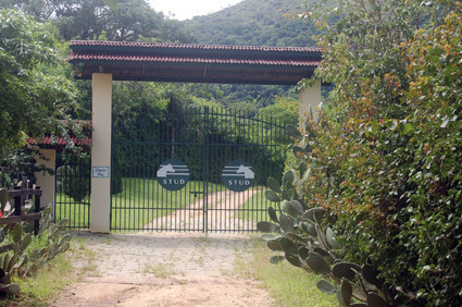 Stud Training Center Zico Guardia