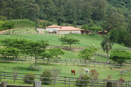 Stud Training Center Zico Guardia