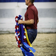 2013 Arabian Celebration Show