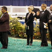 2013 Arabian Celebration Show