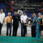 2013 Arabian Celebration Show