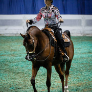 2013 Arabian Celebration Show